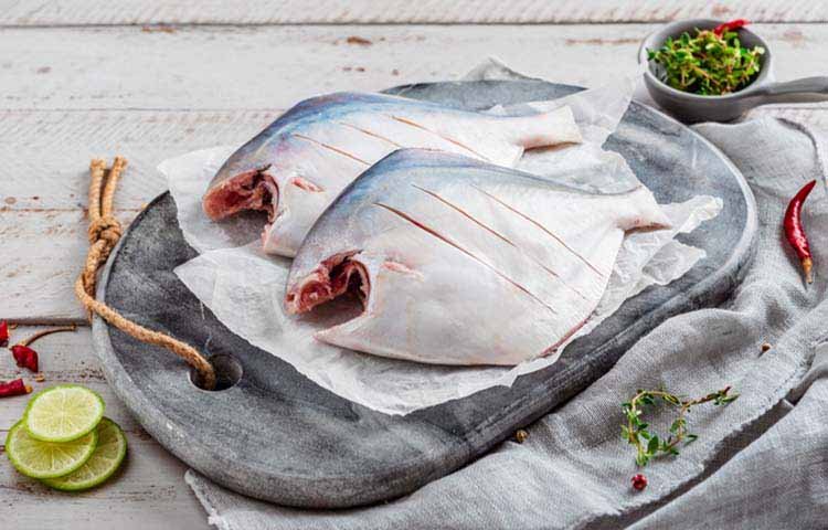 White Pomfret